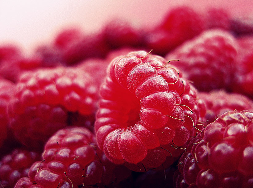 Rosa Organics Skin Nutrients